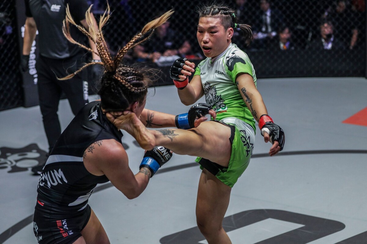 Xiong Jing Nan DC 8665 1200x800