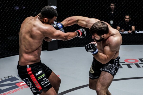 Andre Stoica DC 8192 600x400