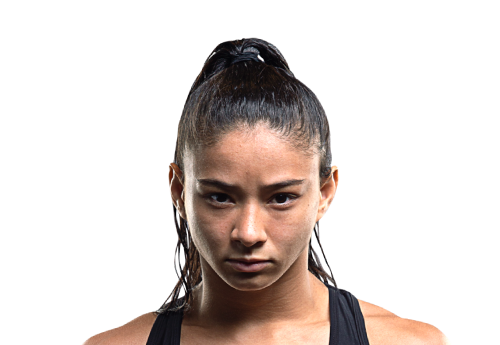 Allycia_Hellen_Rodrigues avatar 500x345 1
