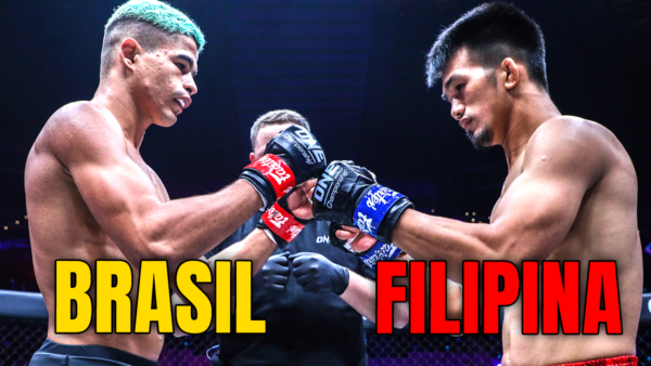 Andrade vs Pacatiw