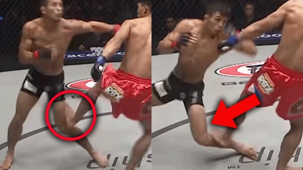 the most dangerous kicks in mma danny kingad vs yuya wakamatsu i