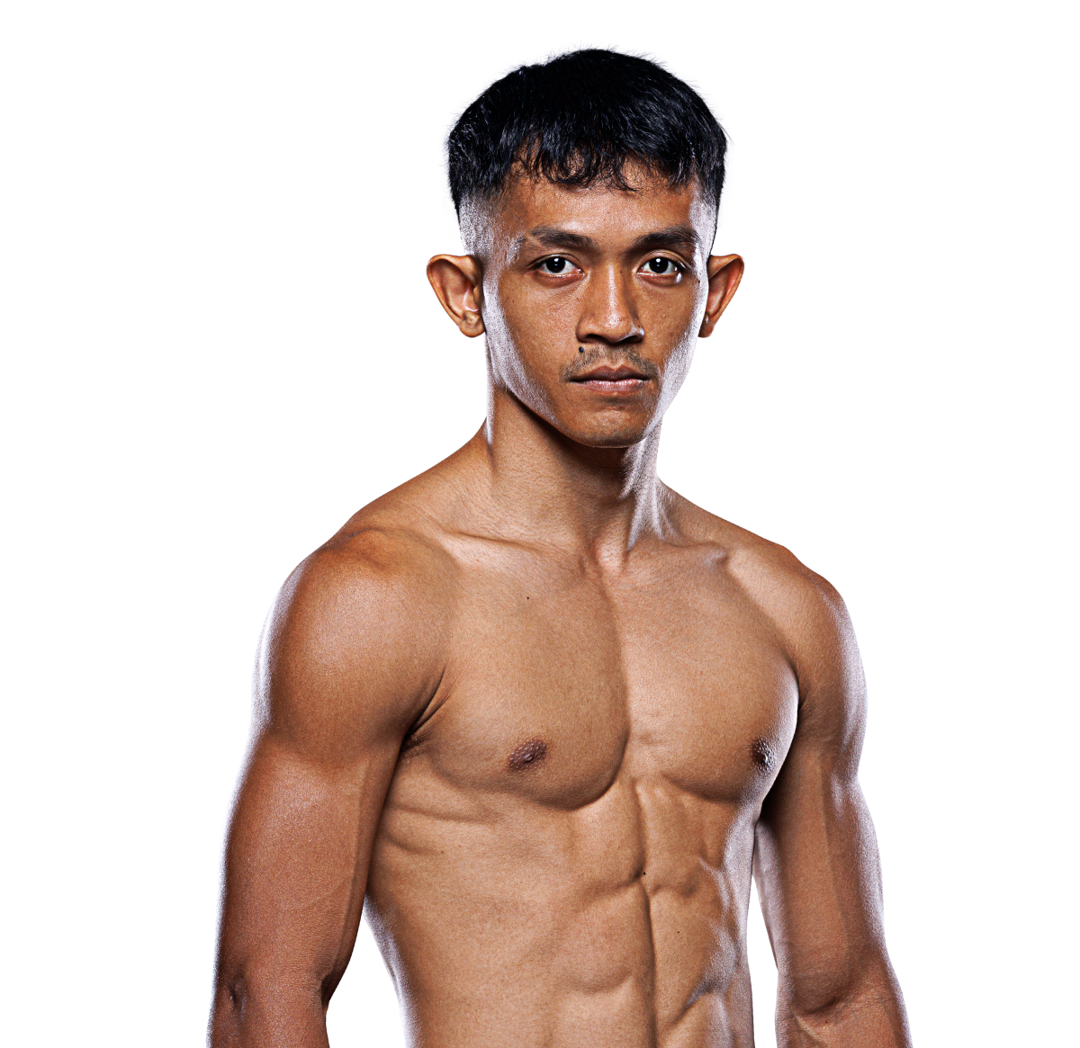 Delfan_Dwi_Satrio hero 1200x1165 1