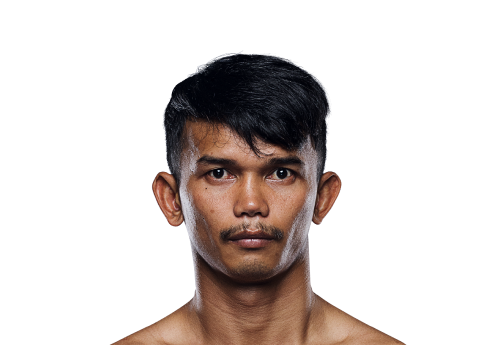 Tandiao Avatar 500x345 1