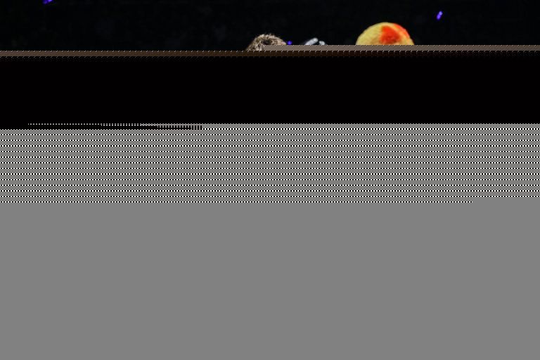 Masahide Kudo DUX 0122 768x512