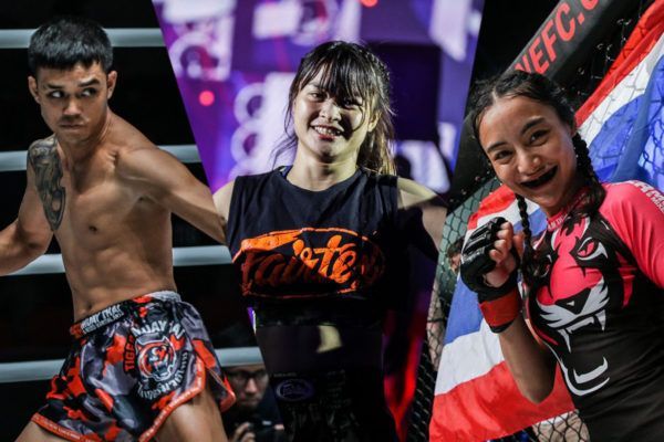 Stamp Fairtex DUX 2535 600x400