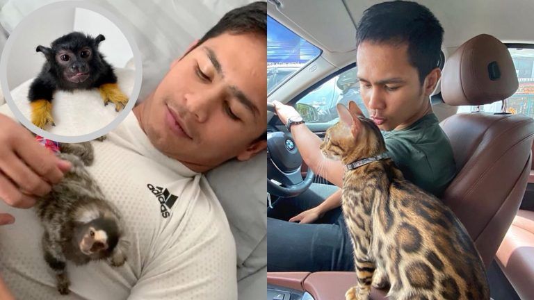 Superbon Pet 768x432