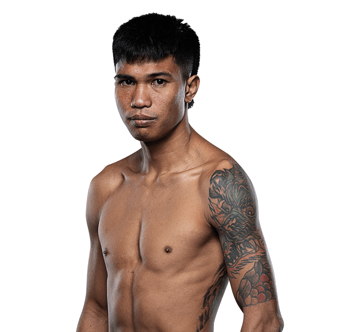 Kochasit 1200x1165 1