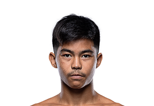 Ikkyusan avatar 500x345 1