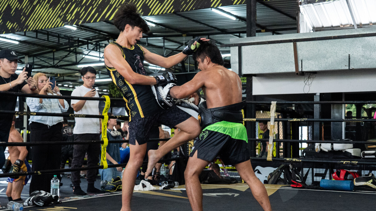 OL126_Yonis_OPW (17)