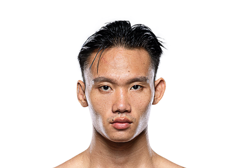 Wanchainoi Avatar 500x345 1