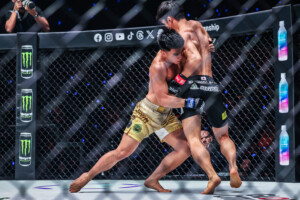 15 Yuya Wakamatsu VS Joshua Pacio ONE173 2