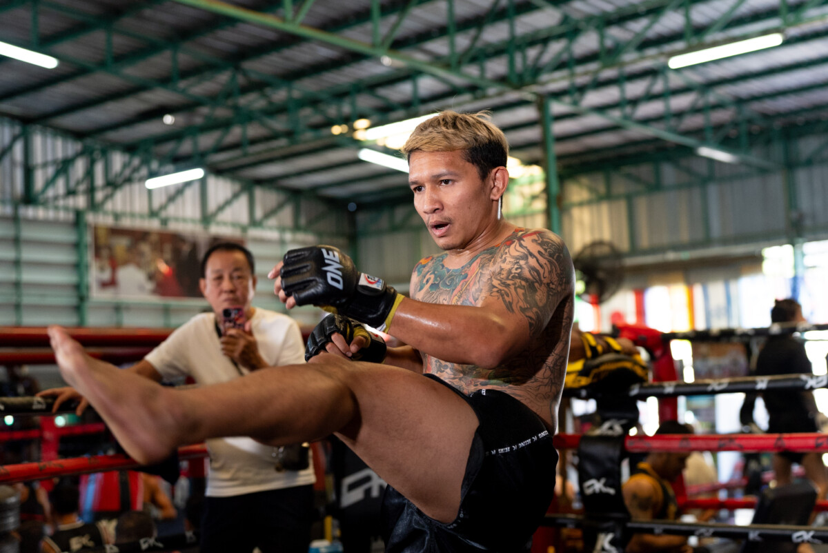 Gingsanglek OPW OL147 100