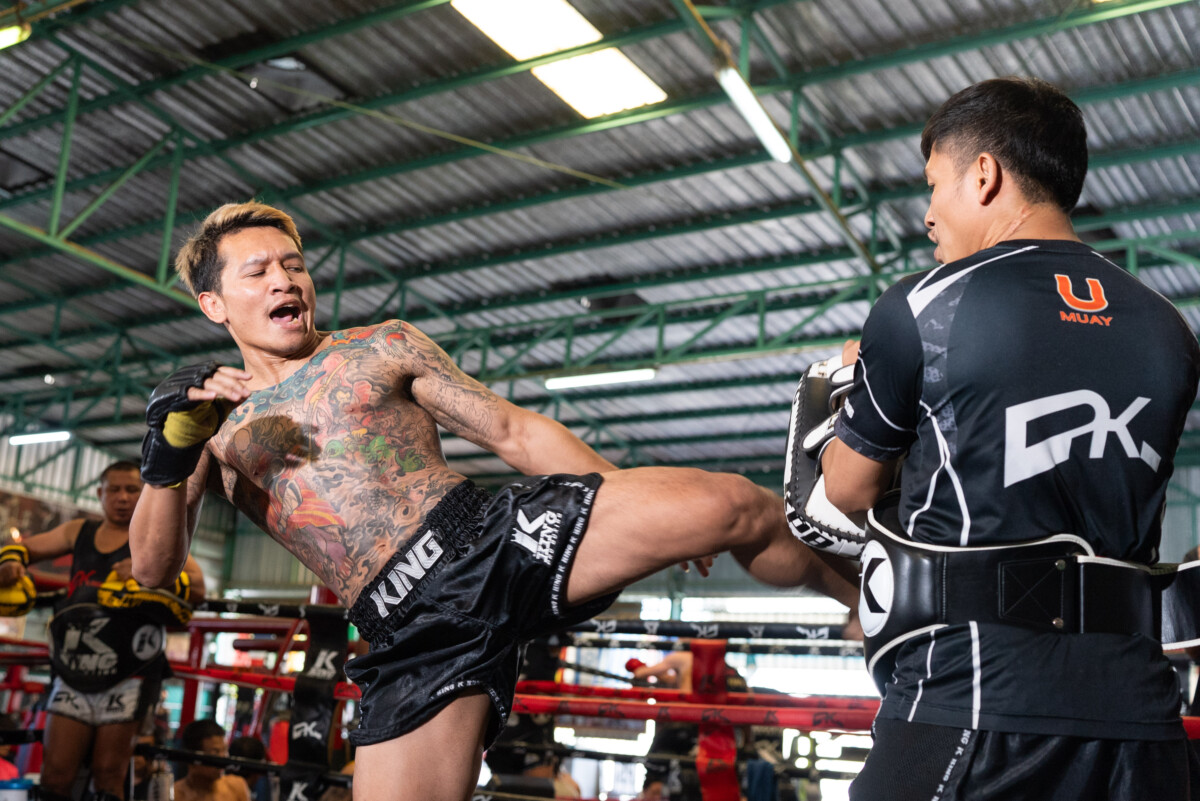 Gingsanglek OPW OL147 83