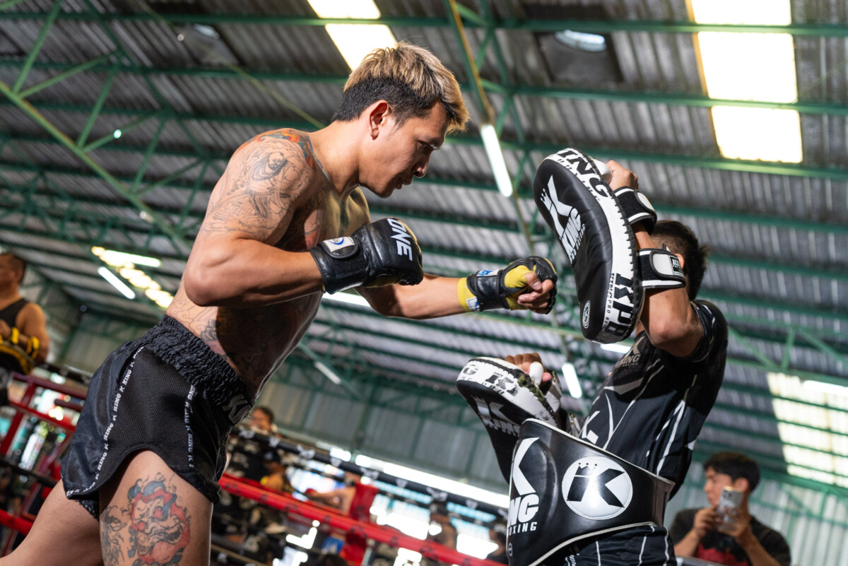 Gingsanglek OPW OL147 85