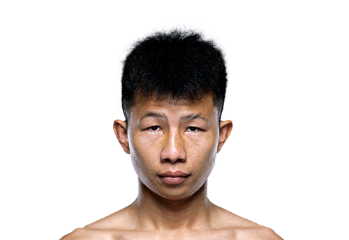 Petbancha avatar 500x345 1