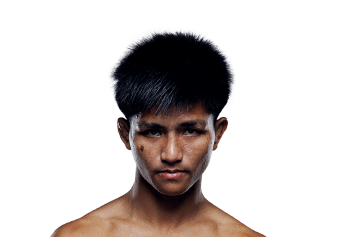 Pek Avatar 500x345 1