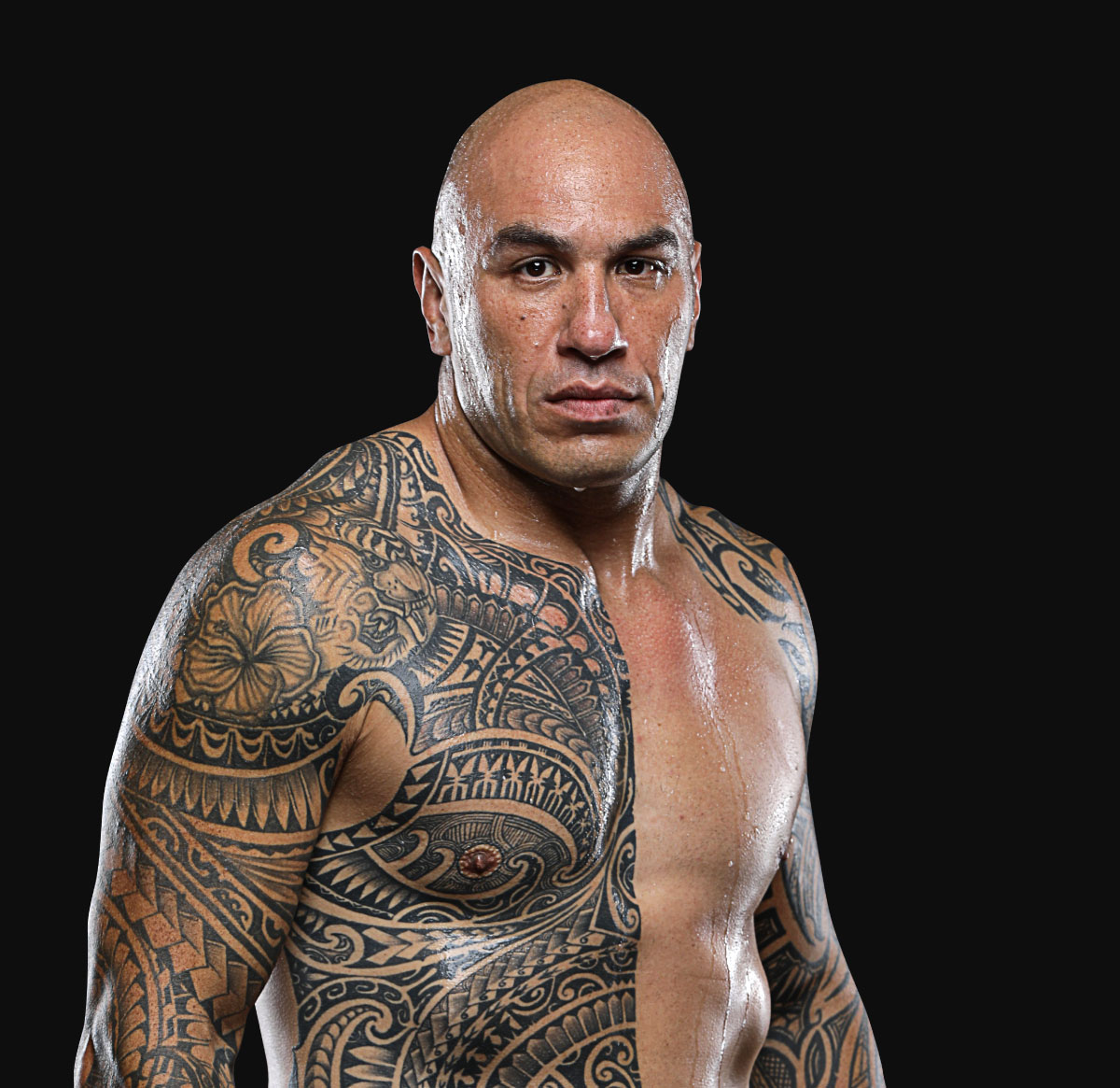 Brandon_Vera hero 1200x1165 3
