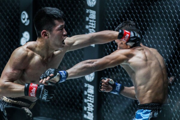 Zhang Chenglong DCIMGL1686 600x400