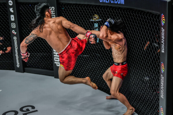 Lito Adiwang flies with a kick
