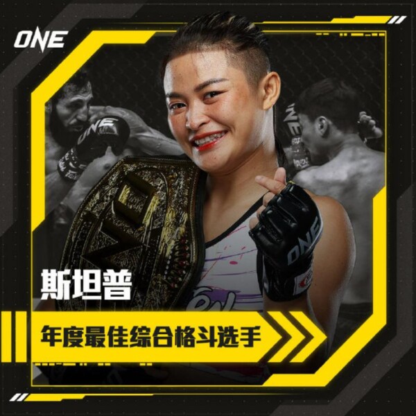 斯坦普·费尔泰斯