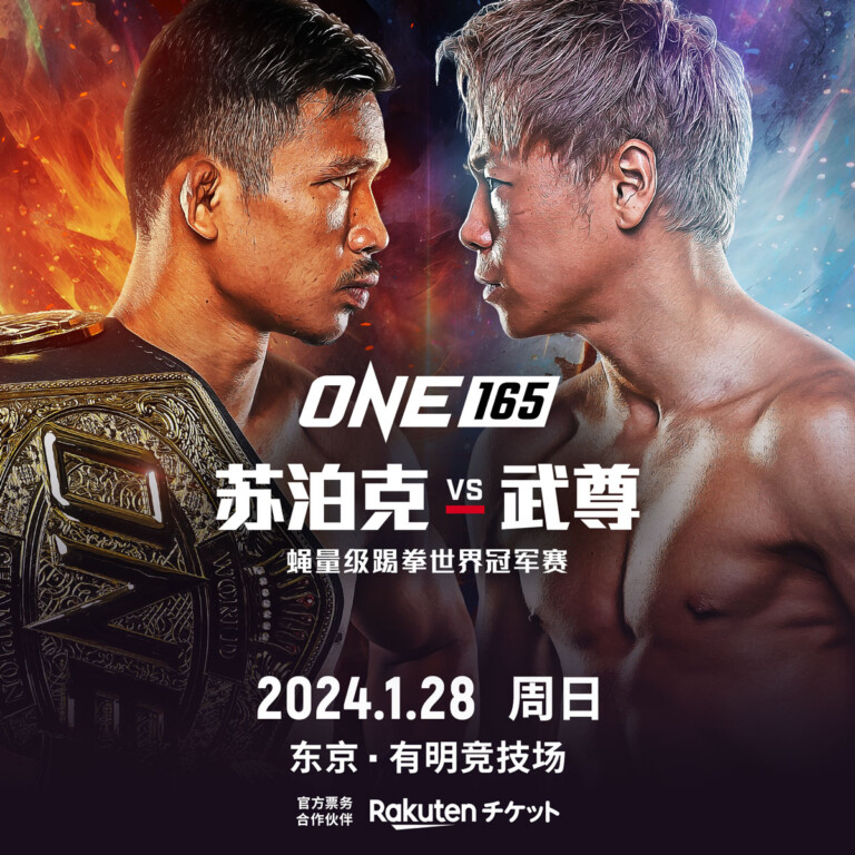 武尊对战苏泊克