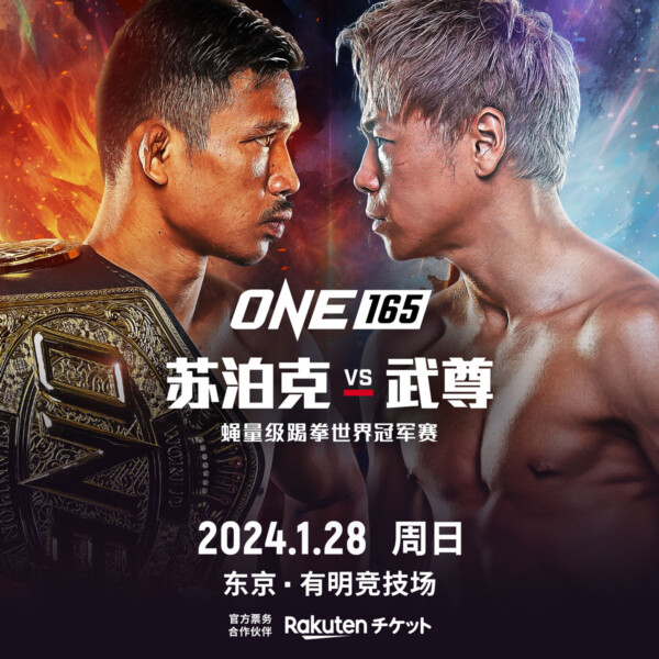 苏泊克对战武尊