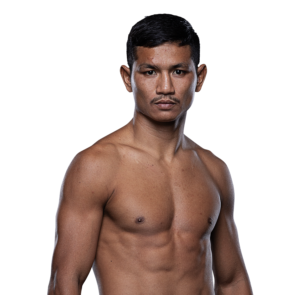 Petsimok 1200x1165 1