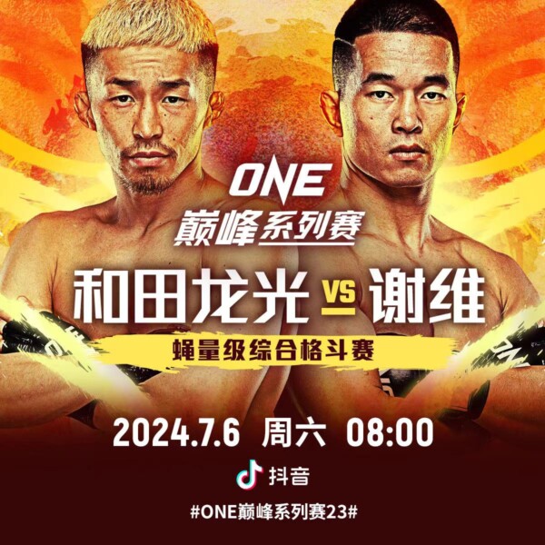 谢维对战和田龙光