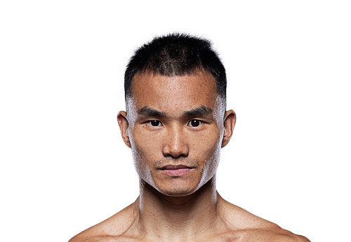 Zhao_Chongyang 500x345 1