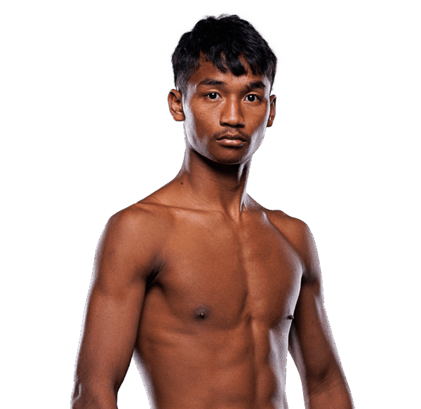 Petdam hero 1200x1165 1