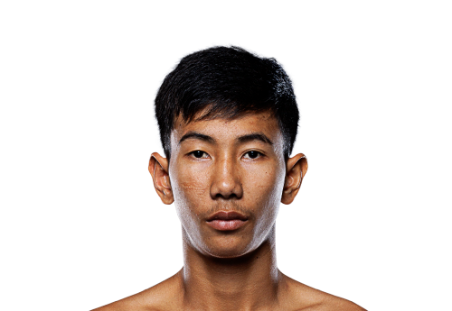 Nueapayak avatar 500x345 1
