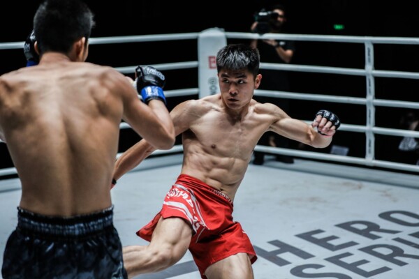 Fu Qing Nan Liu Wei DC 4671 600x400