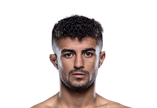 Ali_Afroogh avatar 500x345 1