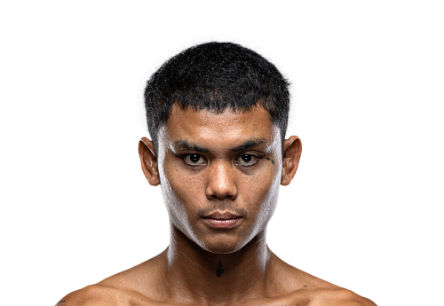 Tepkamin avatar 500x345 1