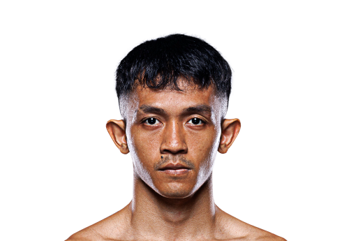 Delfan_Dwi_Satrio avatar 500x345 1