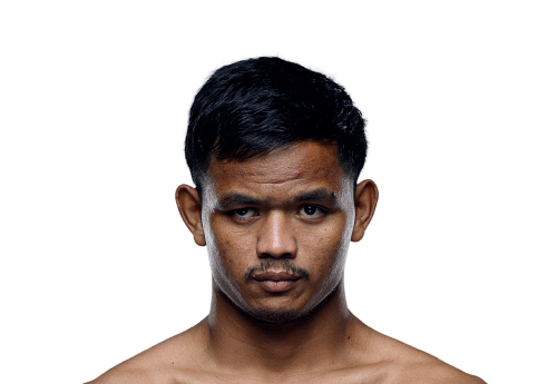 Netpayak Avatar 500x345 1