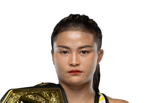 Stamp avatar 500x345 1