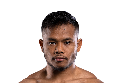 Adi_Paryanto avatar 500x345 1