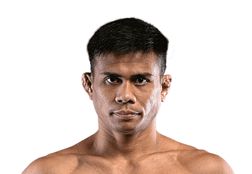 Eko_Roni_Saputra avatar 500x345