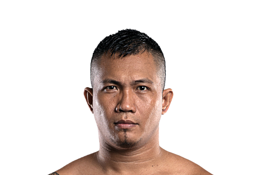 Roel_Rosauro avatar 500x345 1