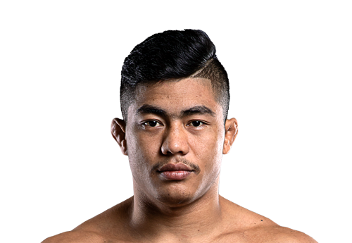 Roshan_Mainam avatar 500x345 1