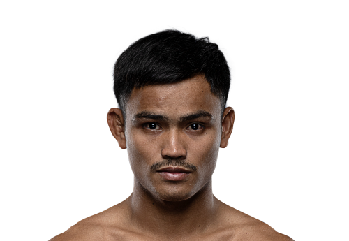 Saksri avatar 500x345 1