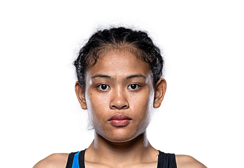 Pinpet avatar 500x345 1