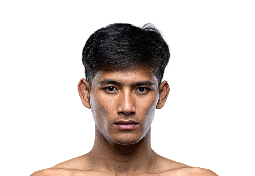 Chatpet avatar 500x345 1