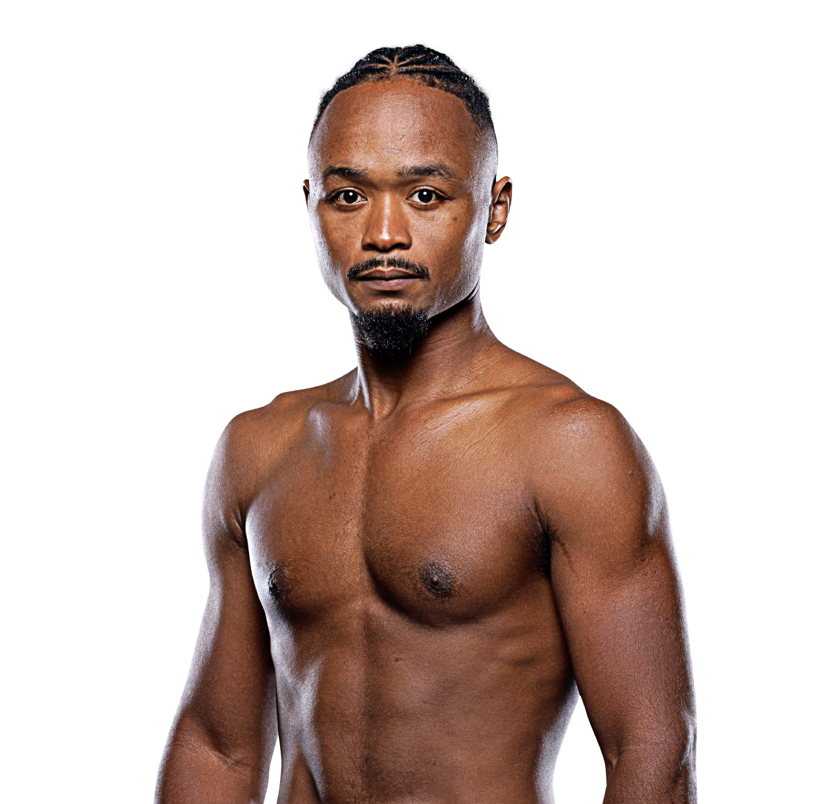 Taiga_Orii hero 1200x1165 1