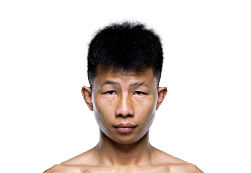 Petbancha avatar 500x345 1